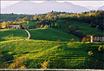 Agriturismo Conte Collalto