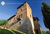 Agriturismo Niccolai - Torre Palagetto
