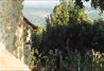 Agriturismo La Collina dei Lecci