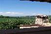 Agriturismo Tra Cielo e Terra