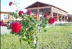 Agriturismo Il Borghetto