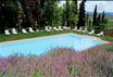 Agriturismo Tenuta di Mensanello