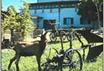 B&B Maccarini