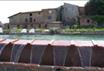 Agriturismo Tenuta Il Santo