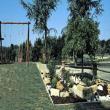 Agriturismo Calderino