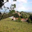 Agriturismo Filippi-Villa Visco