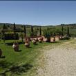 Agriturismo Casa dei Girasoli - Esterno
