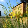 Agriturismo San Lorenzo