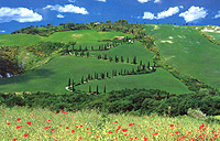 Agritourisme Toscane