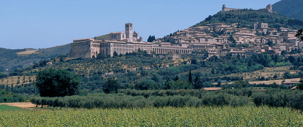Agriturismo - Residenza il Girasole: Perugia