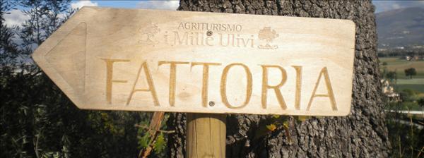 Agriturismo I Mille Ulivi: Perugia