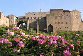 Visiter Viterbo